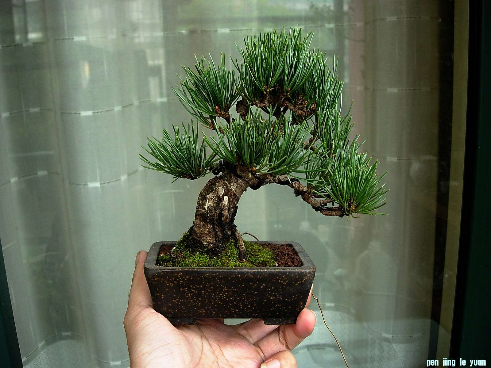 DSCN8509.JPG