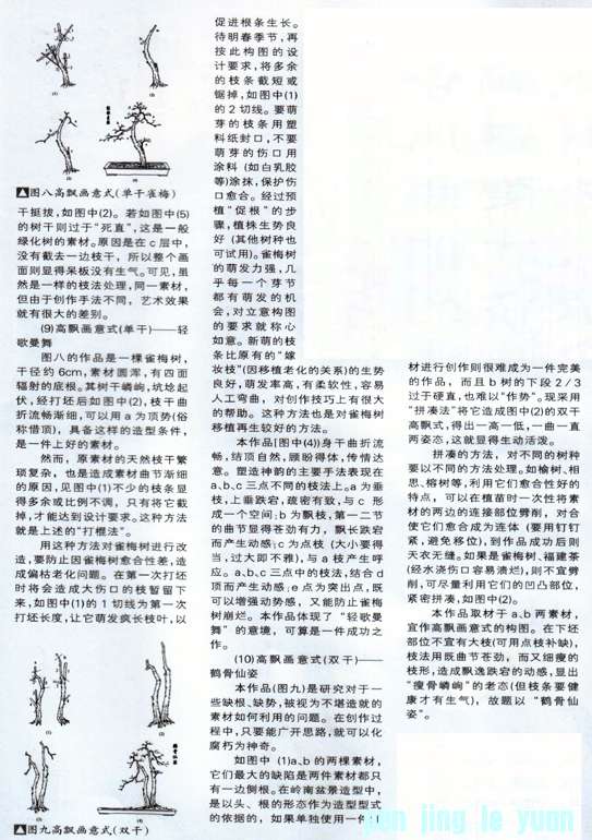 С辰27.jpg