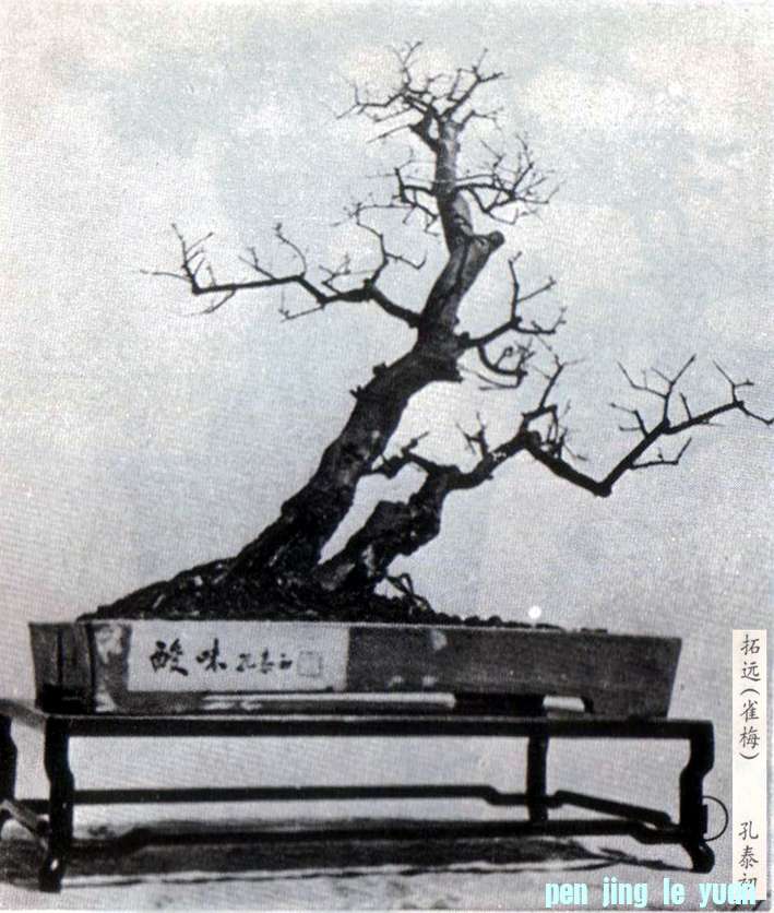̩Զȸ÷.jpg
