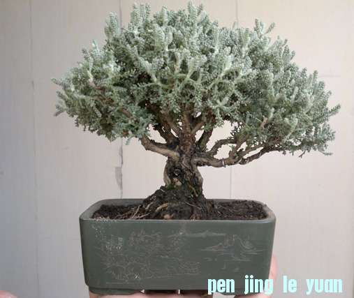 201210071456.jpg