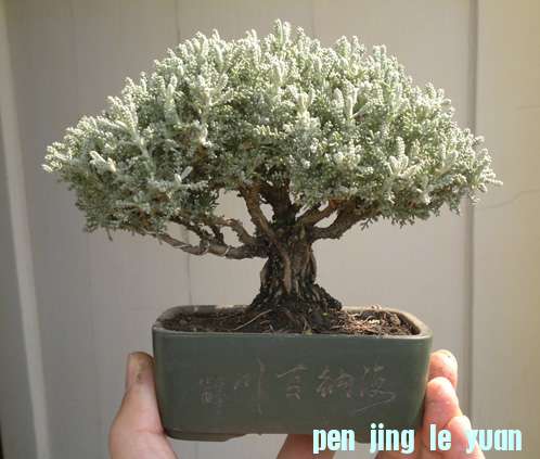 201210071457.jpg