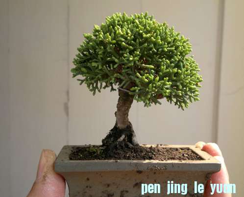 201210071458.jpg