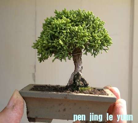 201210071459.jpg