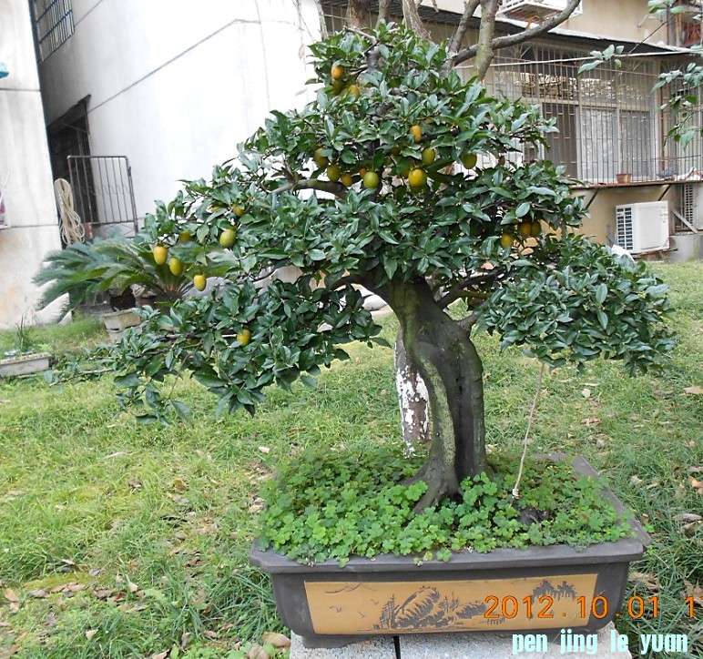 10.01СҶĸ[1].jpg
