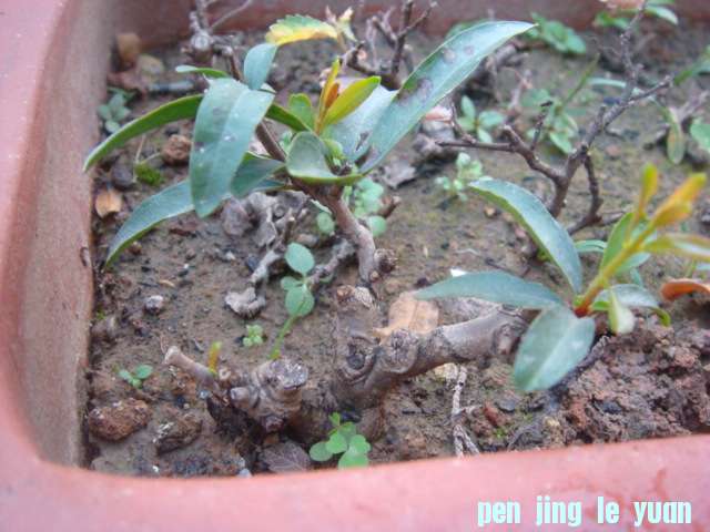 DSC05139.JPG
