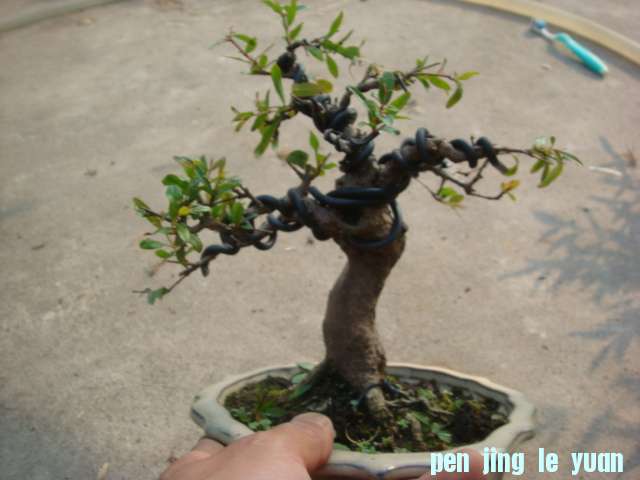 DSC05182.JPG