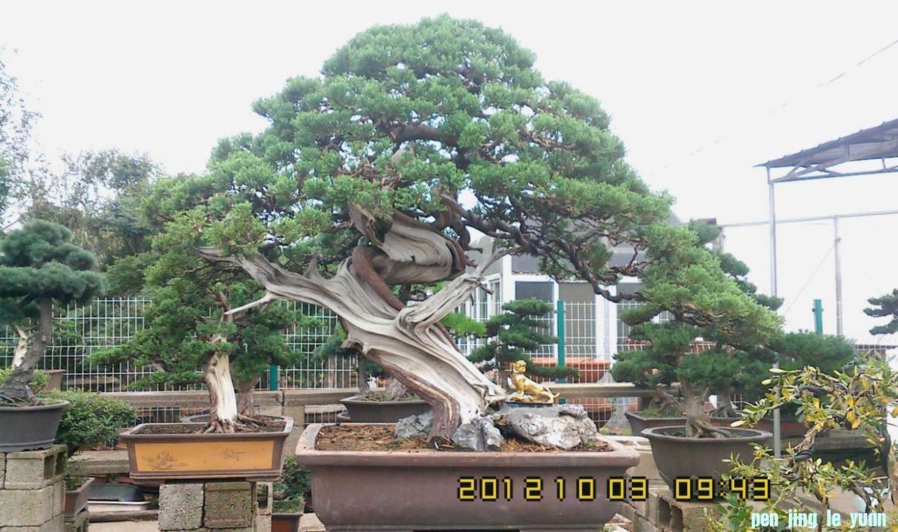 IMG1003094300.jpg