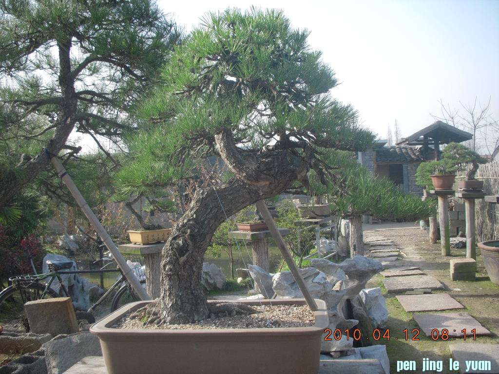 DSCN1528.JPG