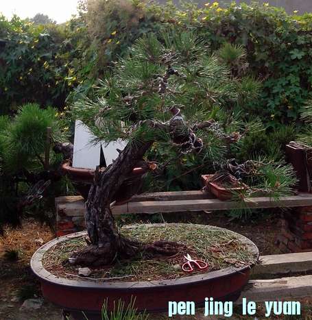 IMG_20121007_141925.jpg