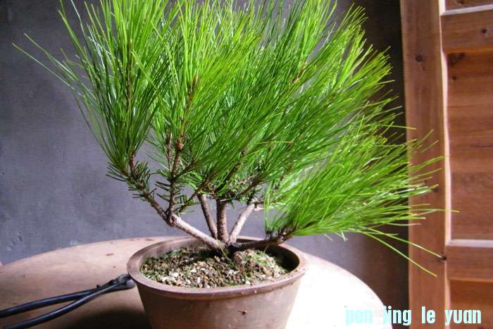 100_2077.jpg