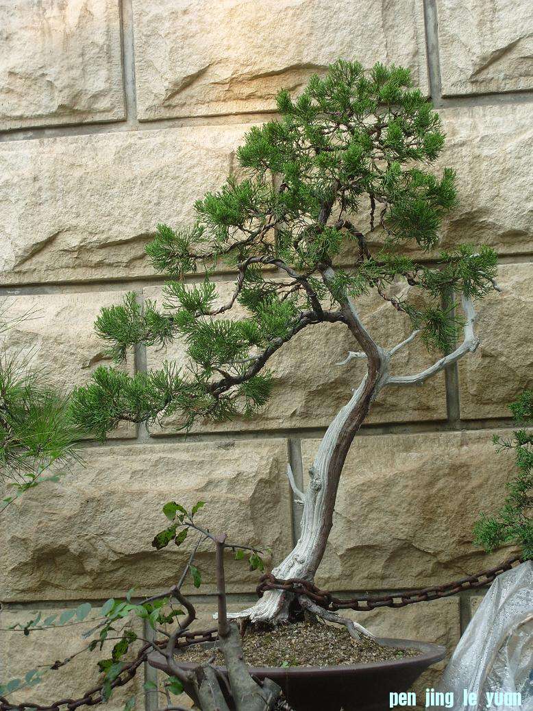 S1051580.JPG