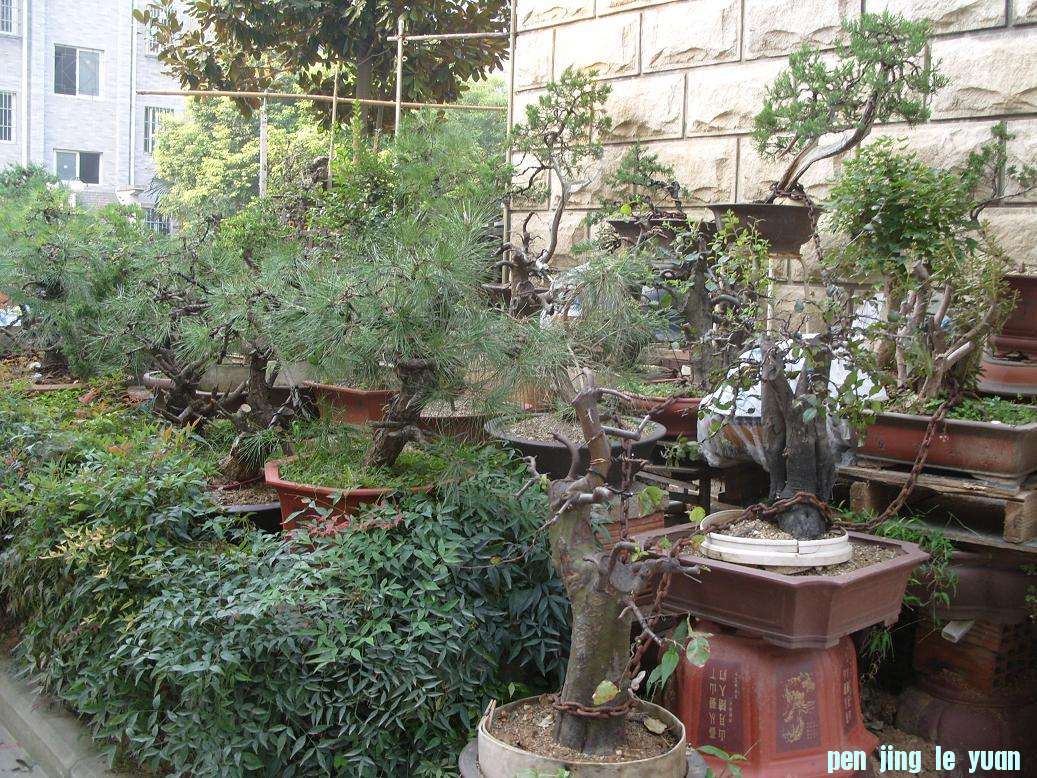 S1051587.JPG