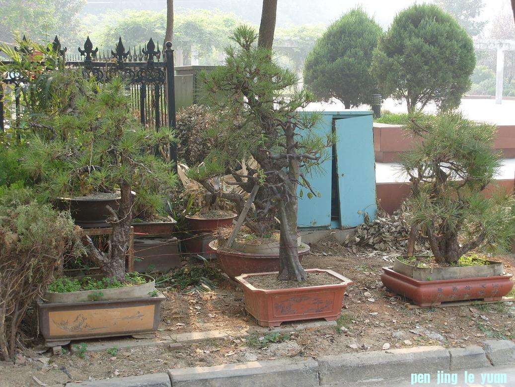 S1051589.JPG
