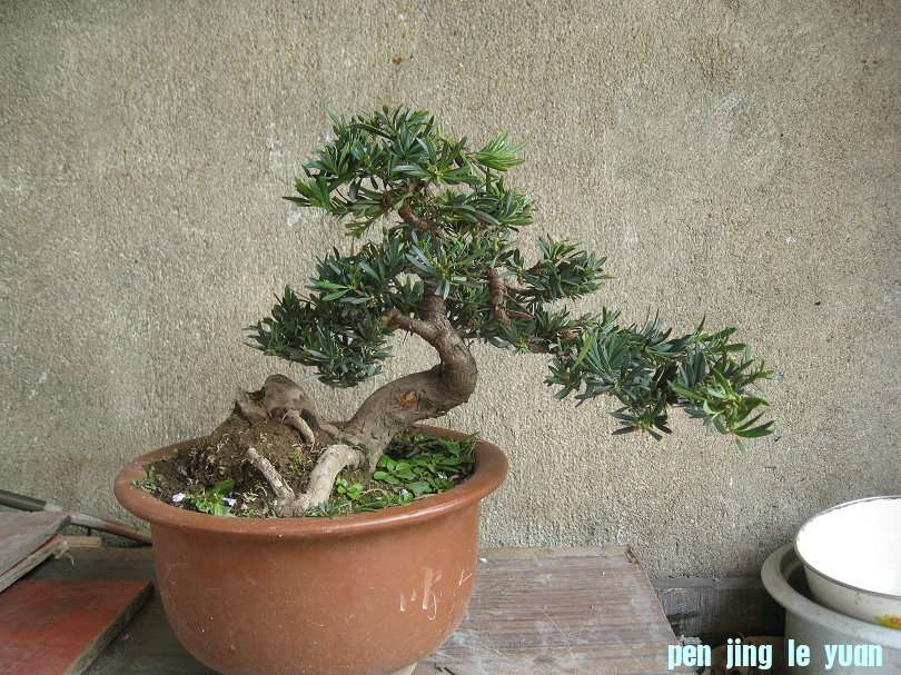 Ƭ 008.jpg