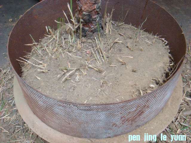 DSC02794.JPG
