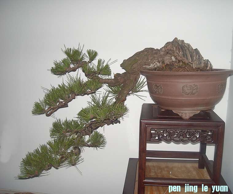 DSCN2231.JPG