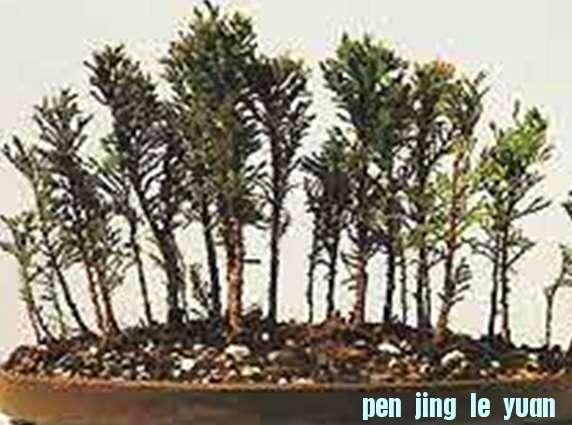 δ-1.jpg
