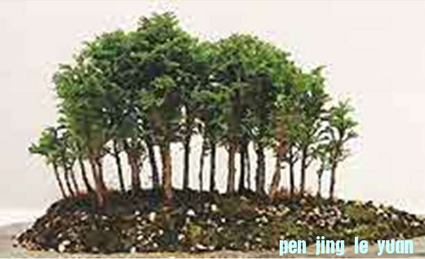 δ-2.jpg