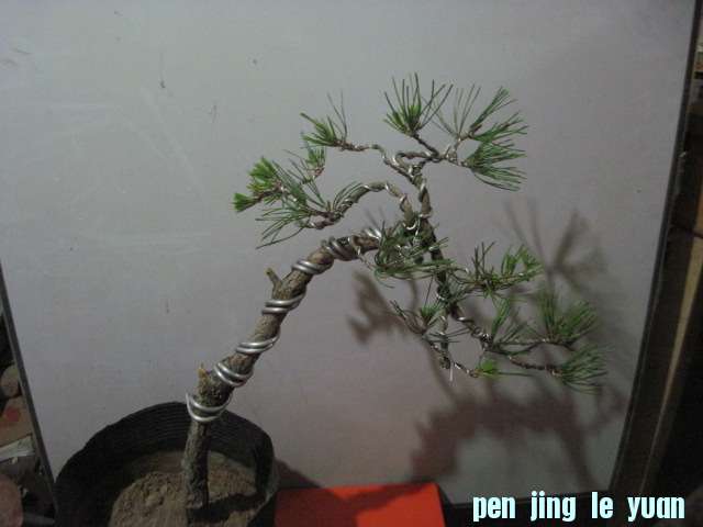 2012-10-12 001.jpg