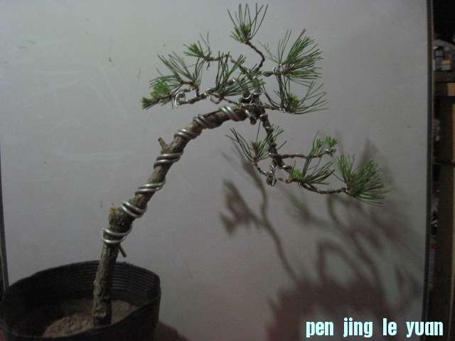2012-10-12 002.jpg