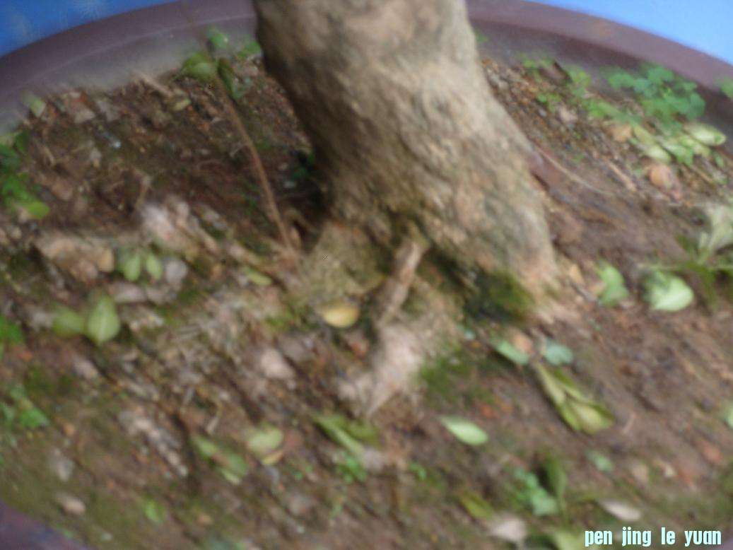 S1051618.JPG