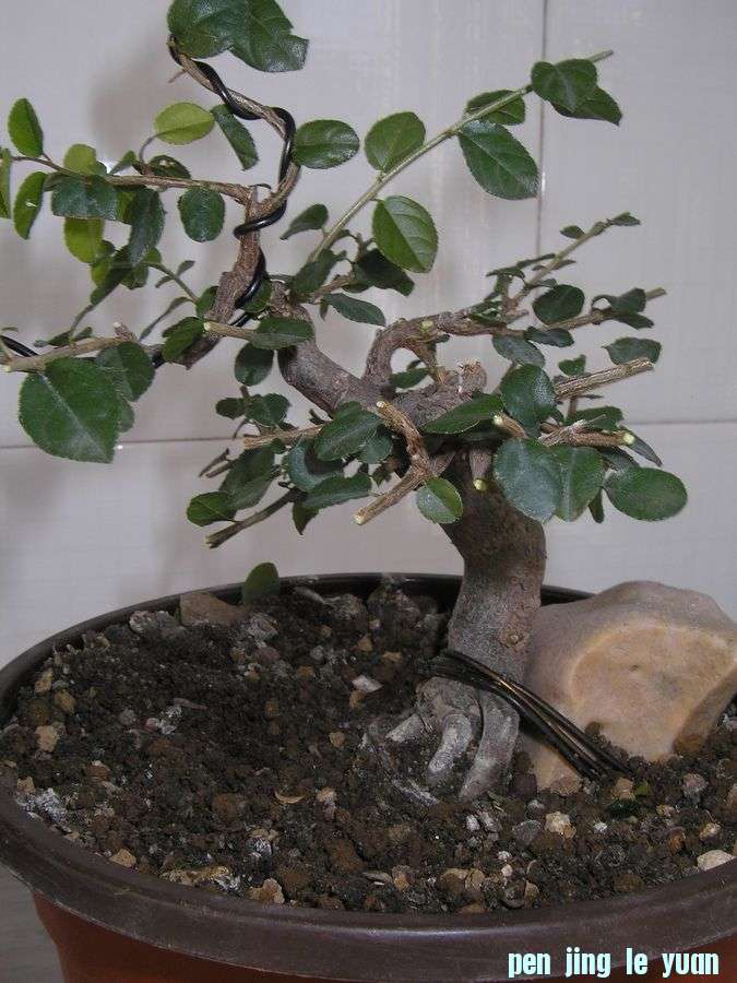 P9294392.JPG