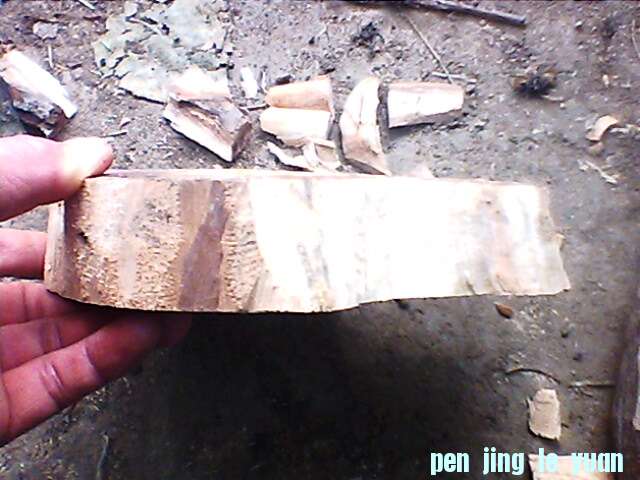 IMG1195A.jpg