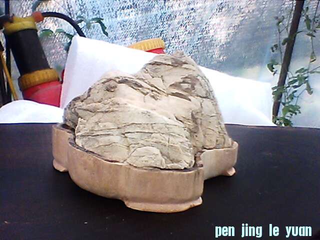 IMG1200A.jpg
