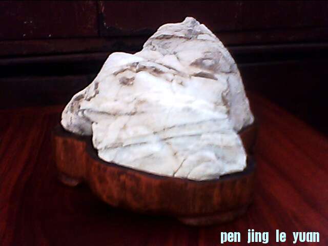 IMG1203A.jpg