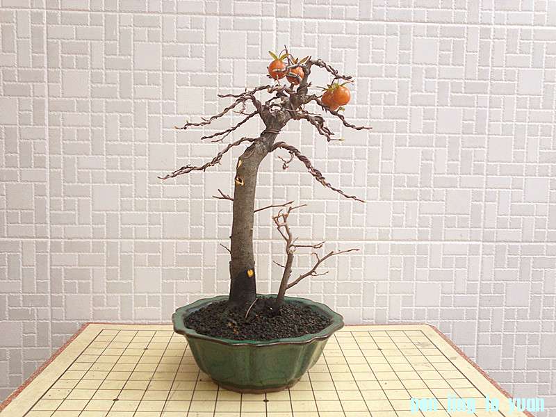 201210161913_.jpg