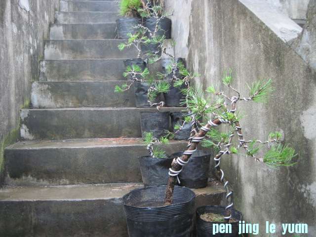 2012-10-16С 001.jpg