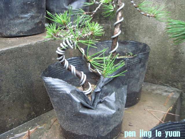 2012-10-16С 003.jpg