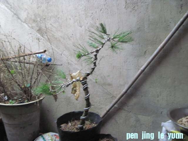 2012-10-16С 007.jpg