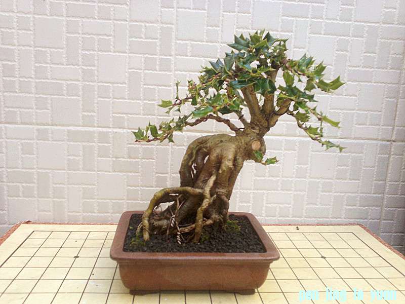 201210171917_.jpg