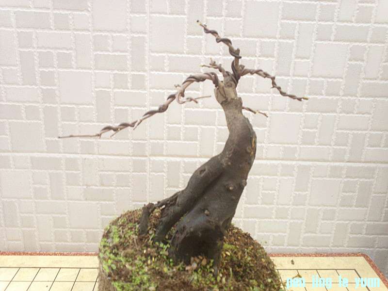 201210171919_.jpg