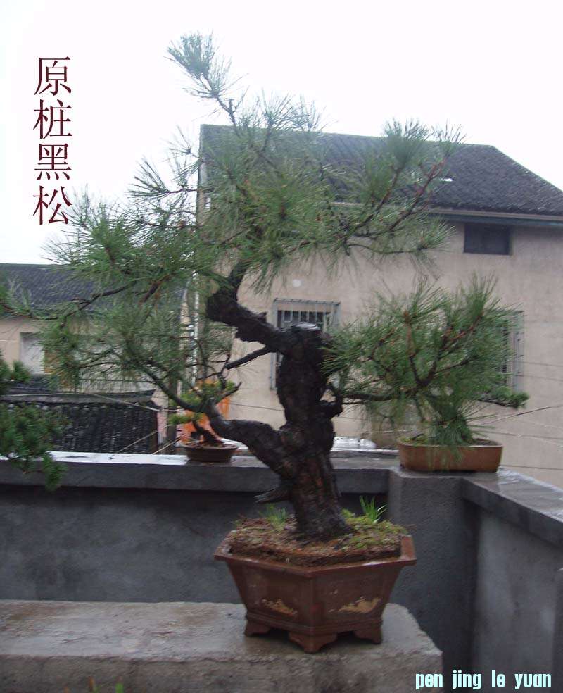 05 .jpg