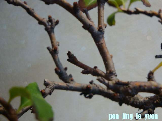 DSC00763.JPG