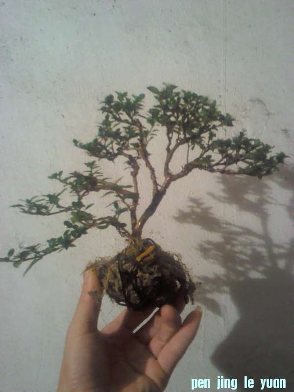 110929A000.jpg