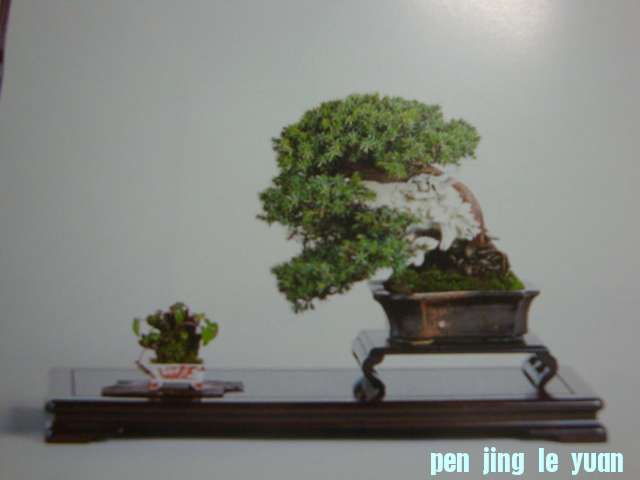 DSC09541.JPG