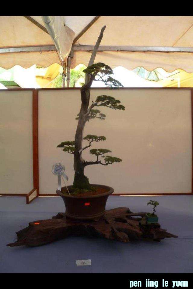 57928411.jpg