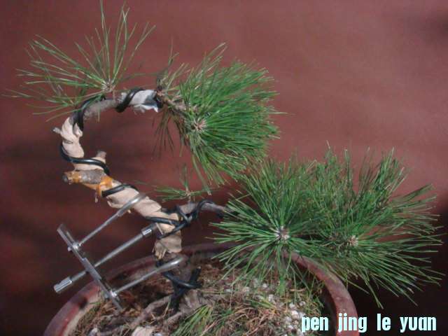 DSC02947.JPG
