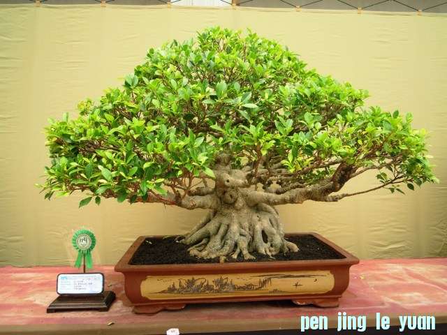 DSCN0280.jpg