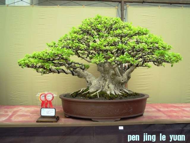 DSCN0281.jpg