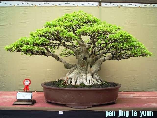 DSCN0282.jpg