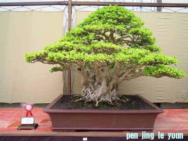 DSCN0288.jpg