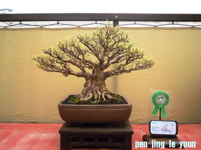 DSCN0289.jpg