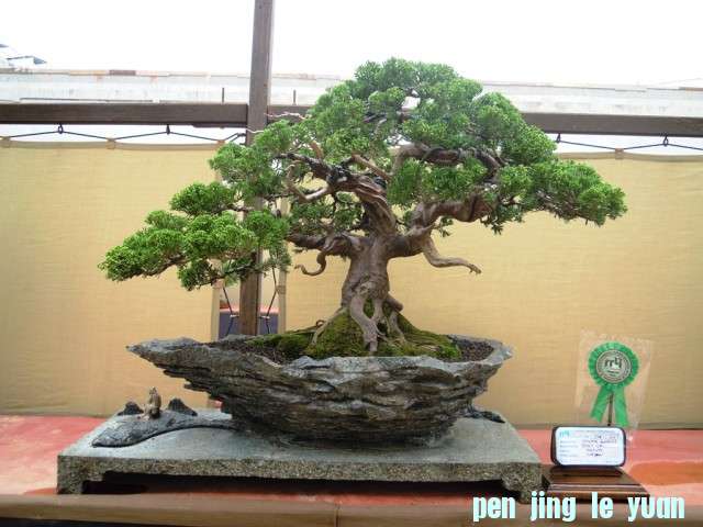 DSCN0291.jpg