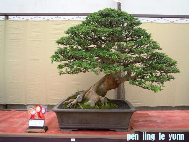DSCN0292.jpg