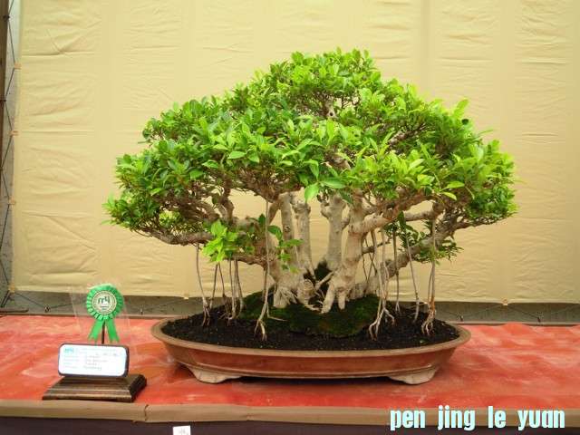 DSCN0293.jpg