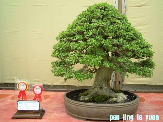 DSCN0294.jpg